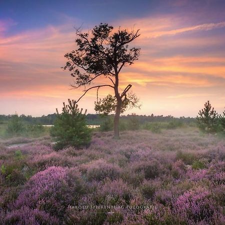 فيلا Natuurhuisje أويسترفايك المظهر الخارجي الصورة