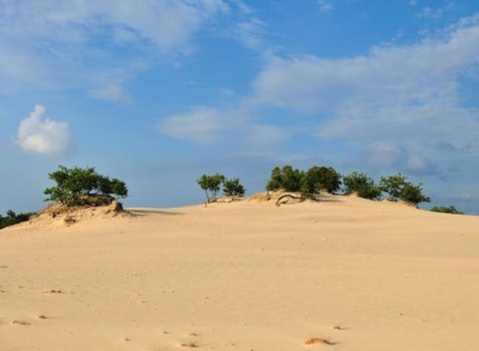 فيلا Natuurhuisje أويسترفايك المظهر الخارجي الصورة