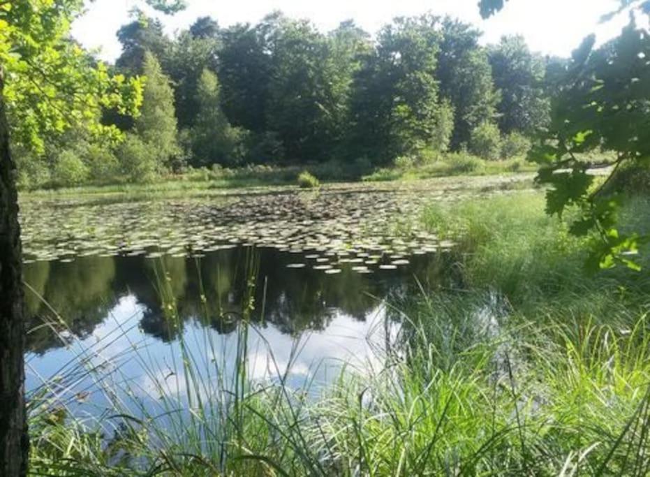 فيلا Natuurhuisje أويسترفايك المظهر الخارجي الصورة