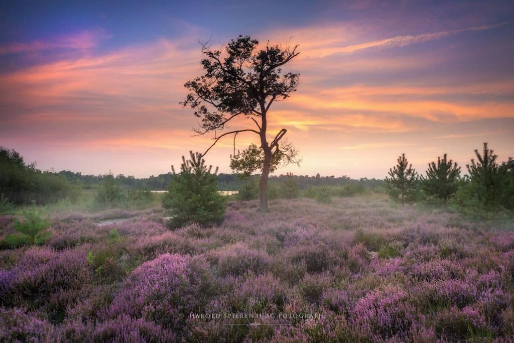 فيلا Natuurhuisje أويسترفايك المظهر الخارجي الصورة