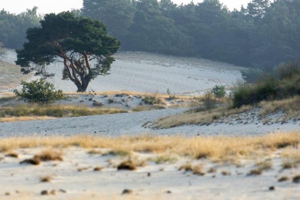 فيلا Natuurhuisje أويسترفايك المظهر الخارجي الصورة