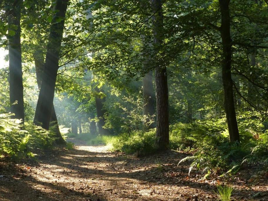 فيلا Natuurhuisje أويسترفايك المظهر الخارجي الصورة