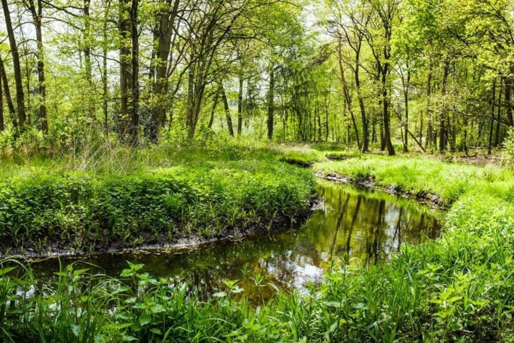 فيلا Natuurhuisje أويسترفايك المظهر الخارجي الصورة