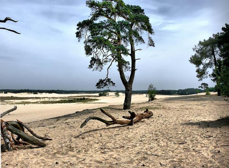 فيلا Natuurhuisje أويسترفايك المظهر الخارجي الصورة